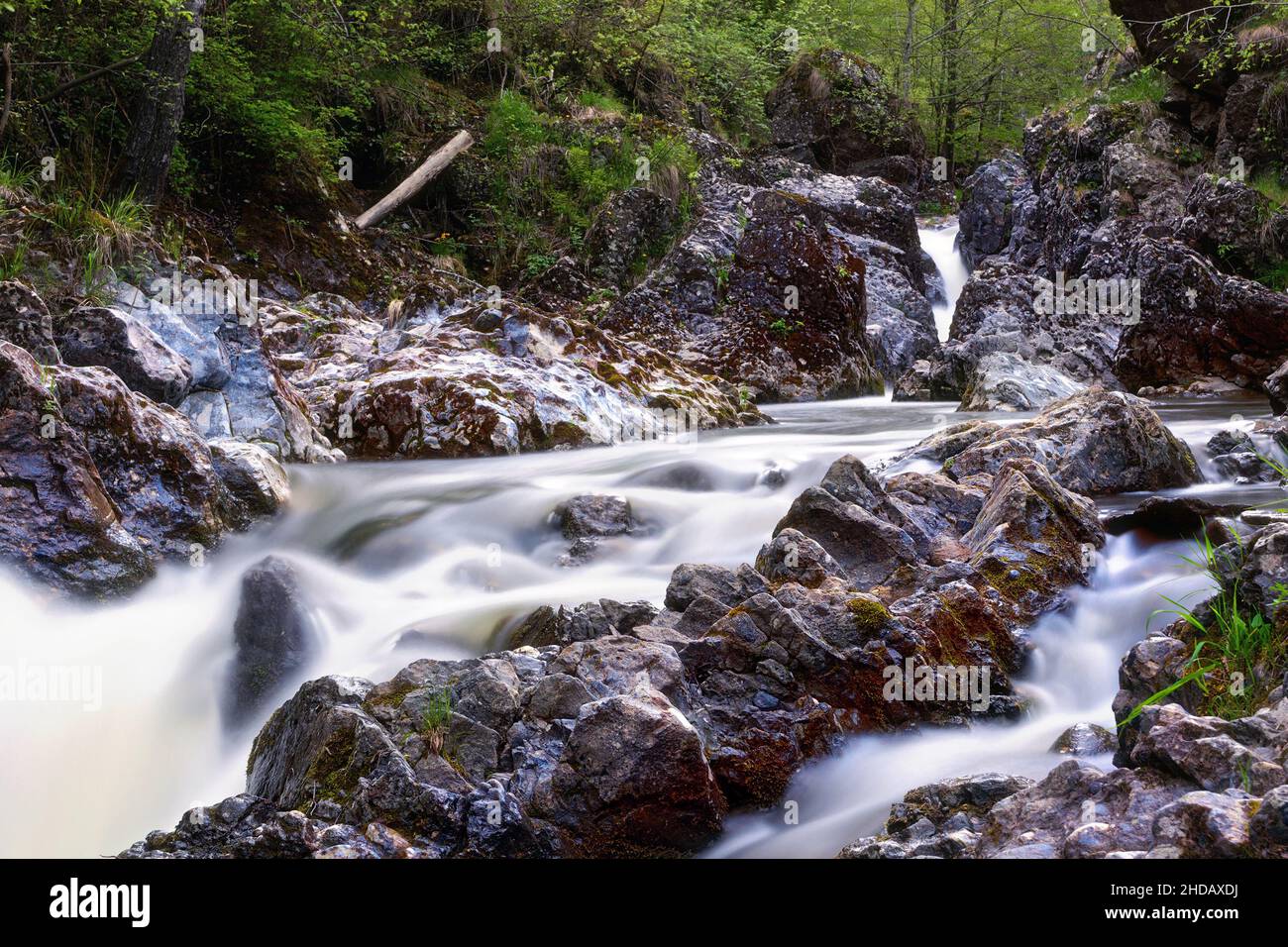 Rápido arroyo de montaña que fluye sobre rocas en las montañas Apuseni, Rumania Foto de stock