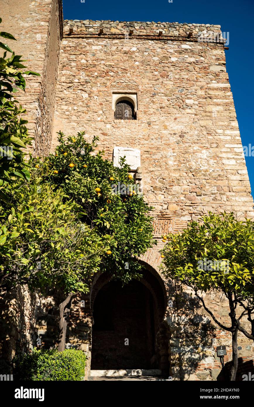 Alcazaba fortaleza en la ciudad de Málaga, Andalucía. España Foto de stock