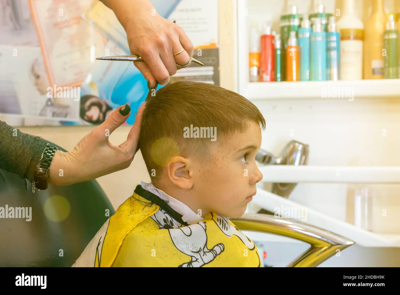Niño que tiene un corte de pelo en el salón de peluquería..Niños peluquero  con tijeras y peine es cortar niño pequeño. Contento lindo niño preescolar  conseguir Fotografía de stock - Alamy
