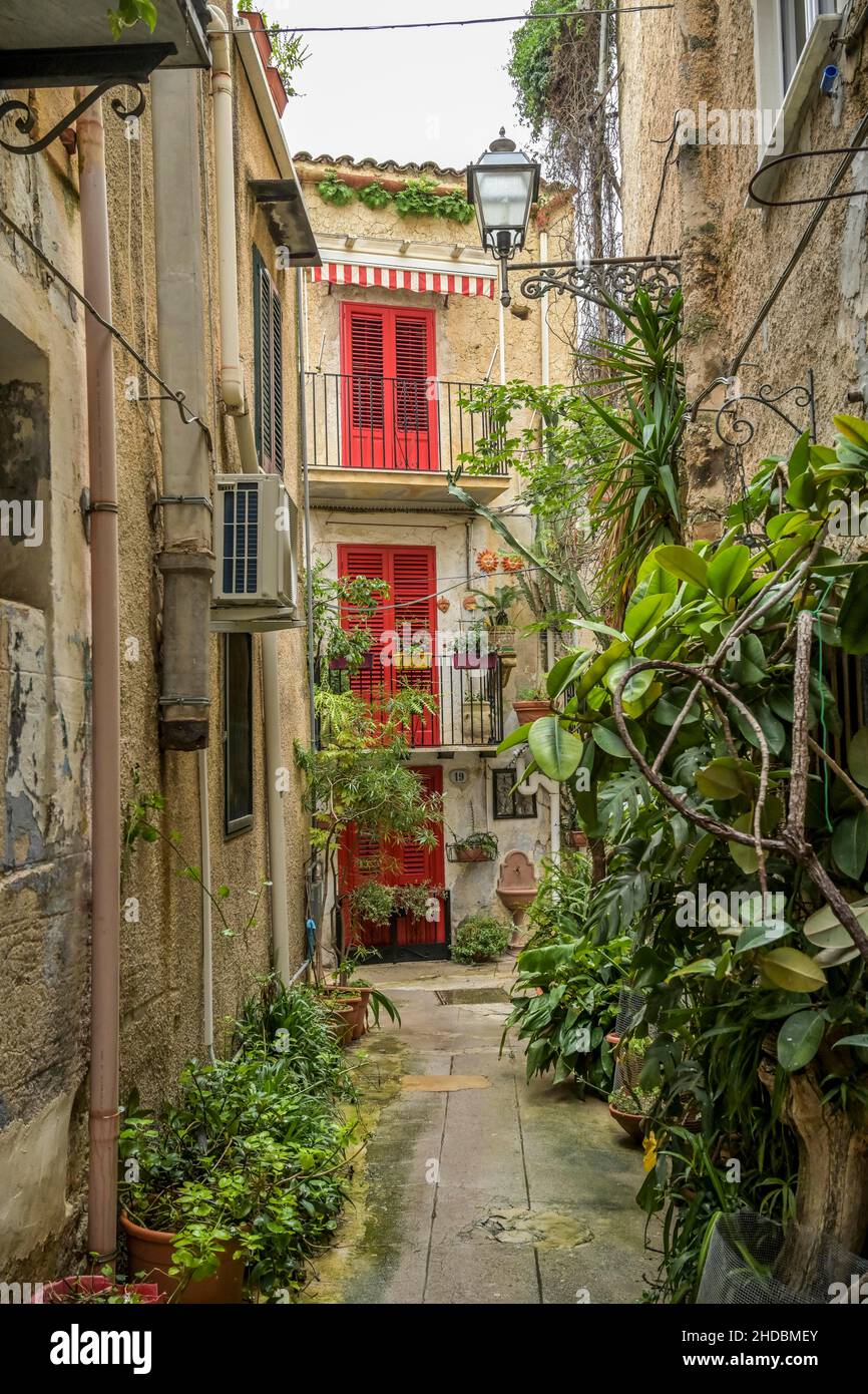 Altstadtgasse, Pflanzen, Monreale, Sizilien, Italien Foto de stock