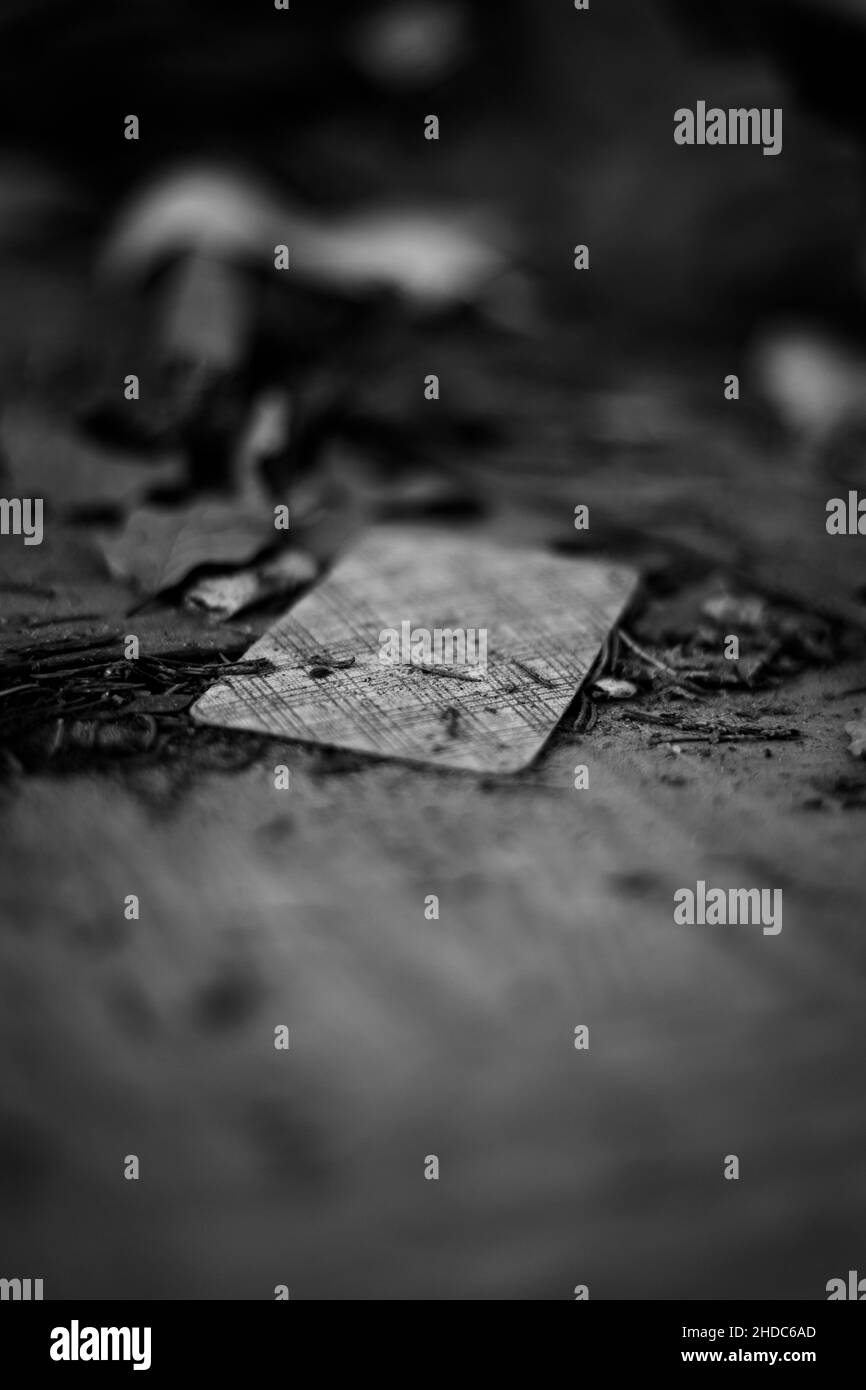 Captura en escala de grises de una tarjeta sobre un suelo sucio Foto de stock