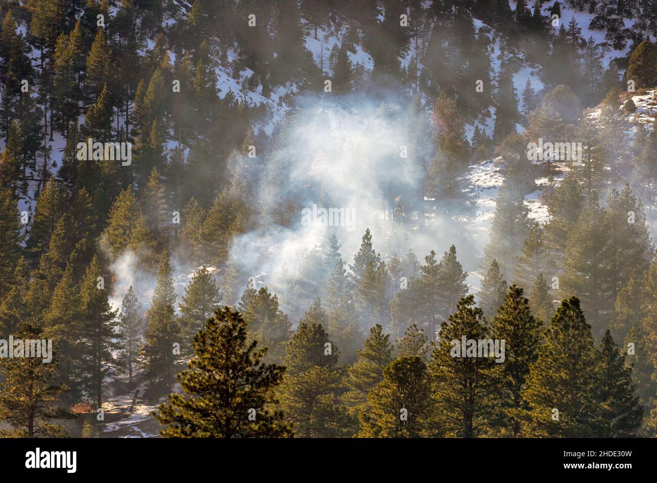 El humo que se levanta de una quemadura controlada en el bosque cubierto de nieve de las montañas de Sierra Nevada durante el invierno Foto de stock