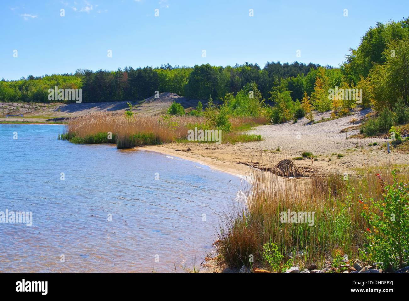 Playa del lago Geierswalder en el distrito de los lagos de Lusatian en un día soleado, Alemania Foto de stock