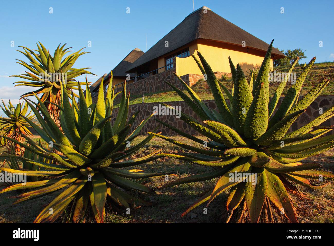 Hannah Lodge en República Sudafricana en África Foto de stock