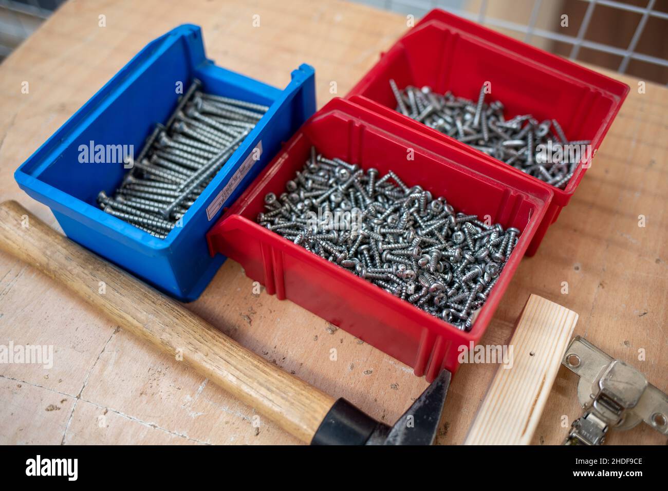 Acercamiento a caja de tornillos con tornillos y taquetes de diferentes  tamaños y medidas Stock Photo