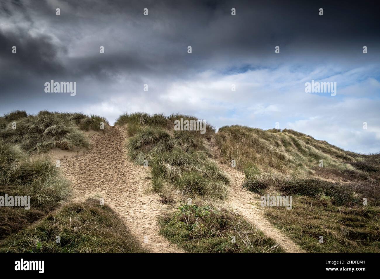 Daños causados por la actividad humana al frágil y delicado sistema de dunas de arena en Crantock Beach en Newquay, en Cornwall. Foto de stock