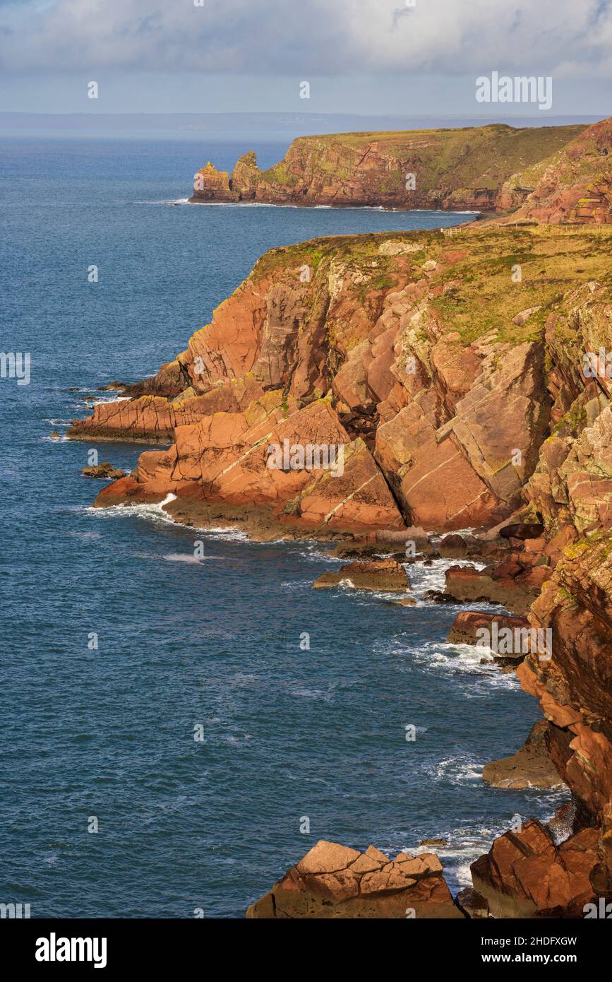 Las capas sedimentarias de roca de los acantilados a lo largo de la ruta costera de Pembrokeshire de la bahía de St Brides, Gales del Sur Foto de stock