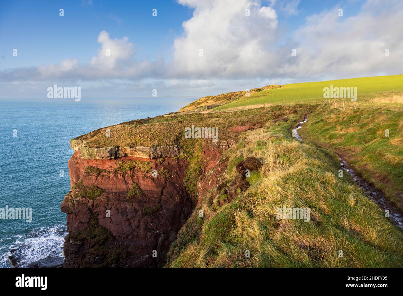 Las capas sedimentarias de roca de los acantilados a lo largo de la ruta costera de Pembrokeshire de la bahía de St Brides, Gales del Sur Foto de stock