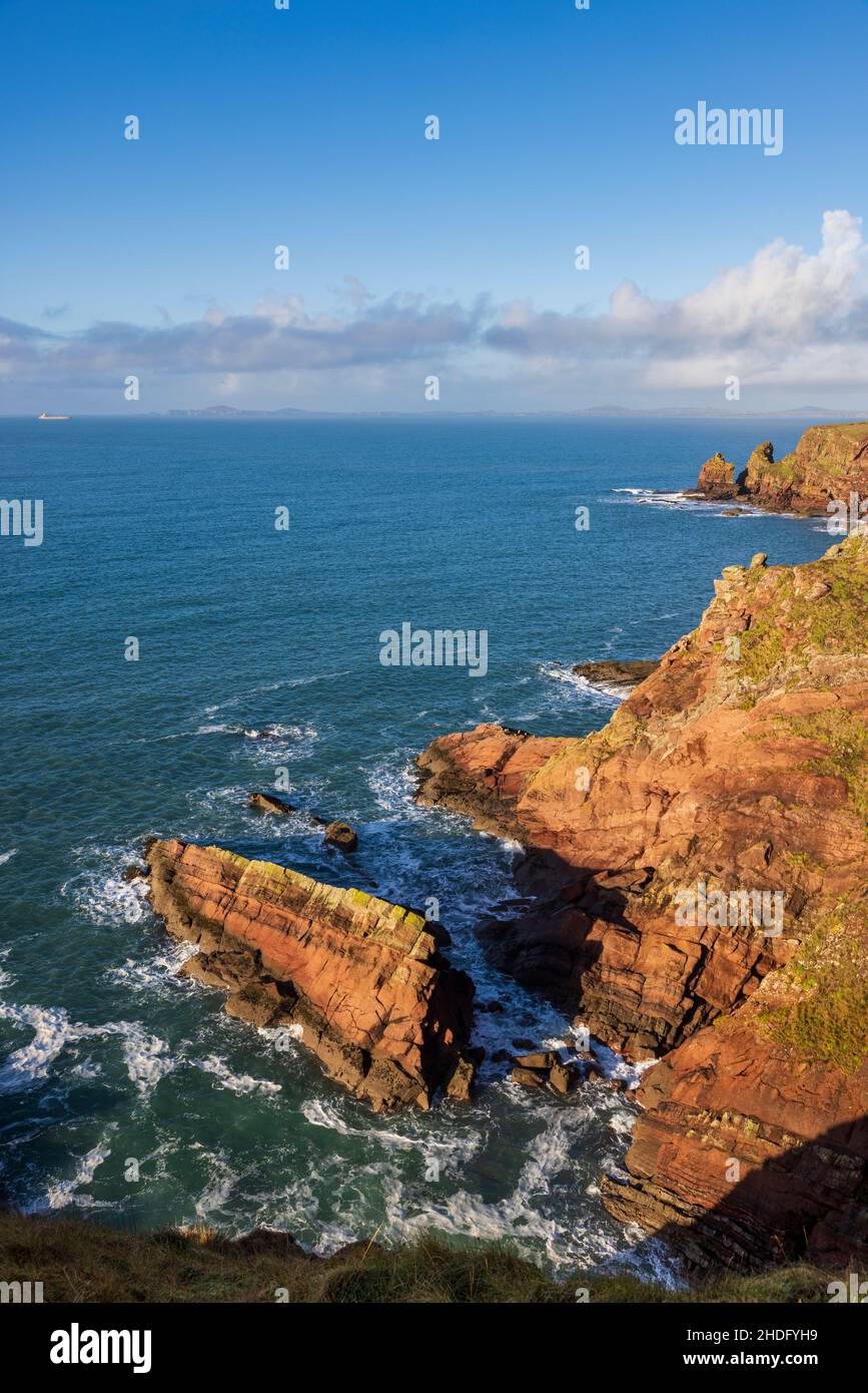 Las capas sedimentarias de roca de los acantilados a lo largo de la ruta costera de Pembrokeshire de la bahía de St Brides, Gales del Sur Foto de stock