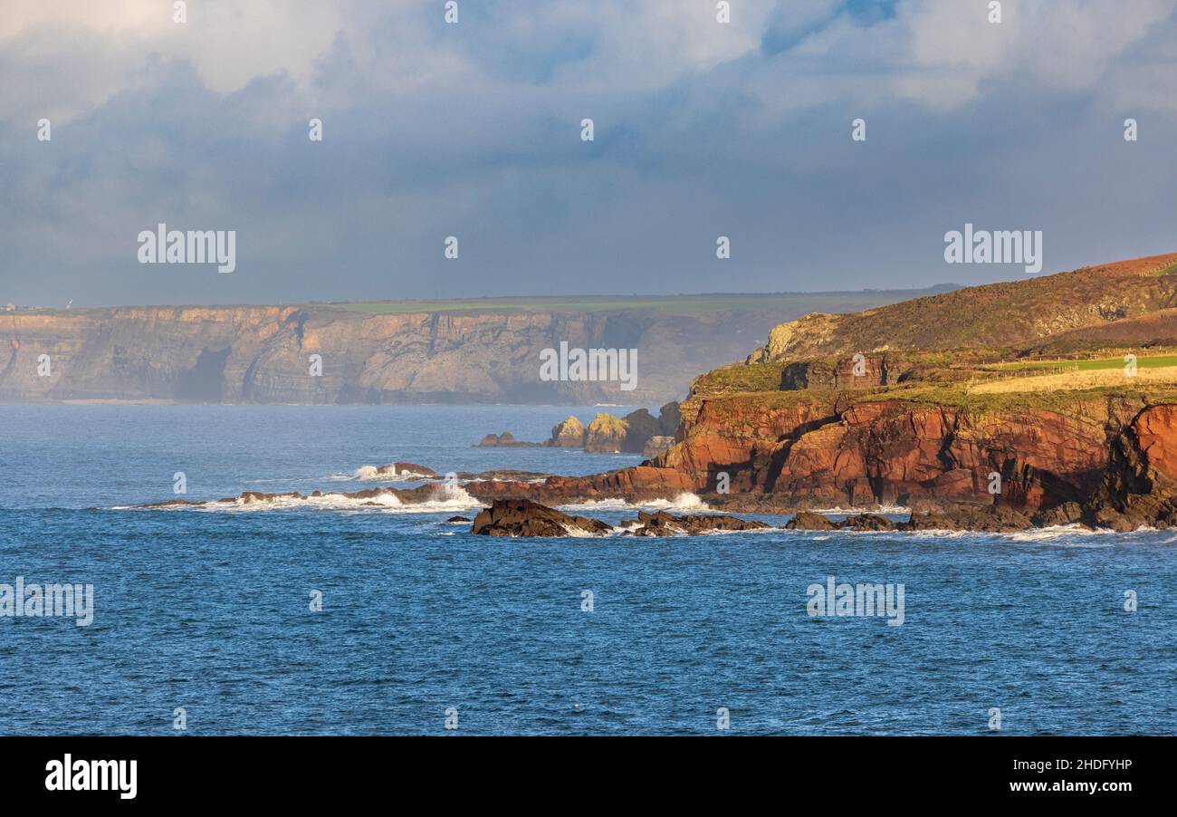 Las capas sedimentarias de roca de los acantilados a lo largo de la ruta costera de Pembrokeshire de la bahía de St Brides, Gales del Sur Foto de stock