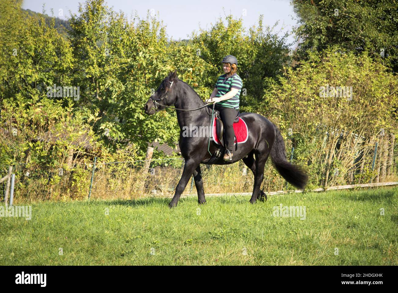 caballo, montar a caballo, caballo, montar a caballo, horsewomen, jinete Foto de stock