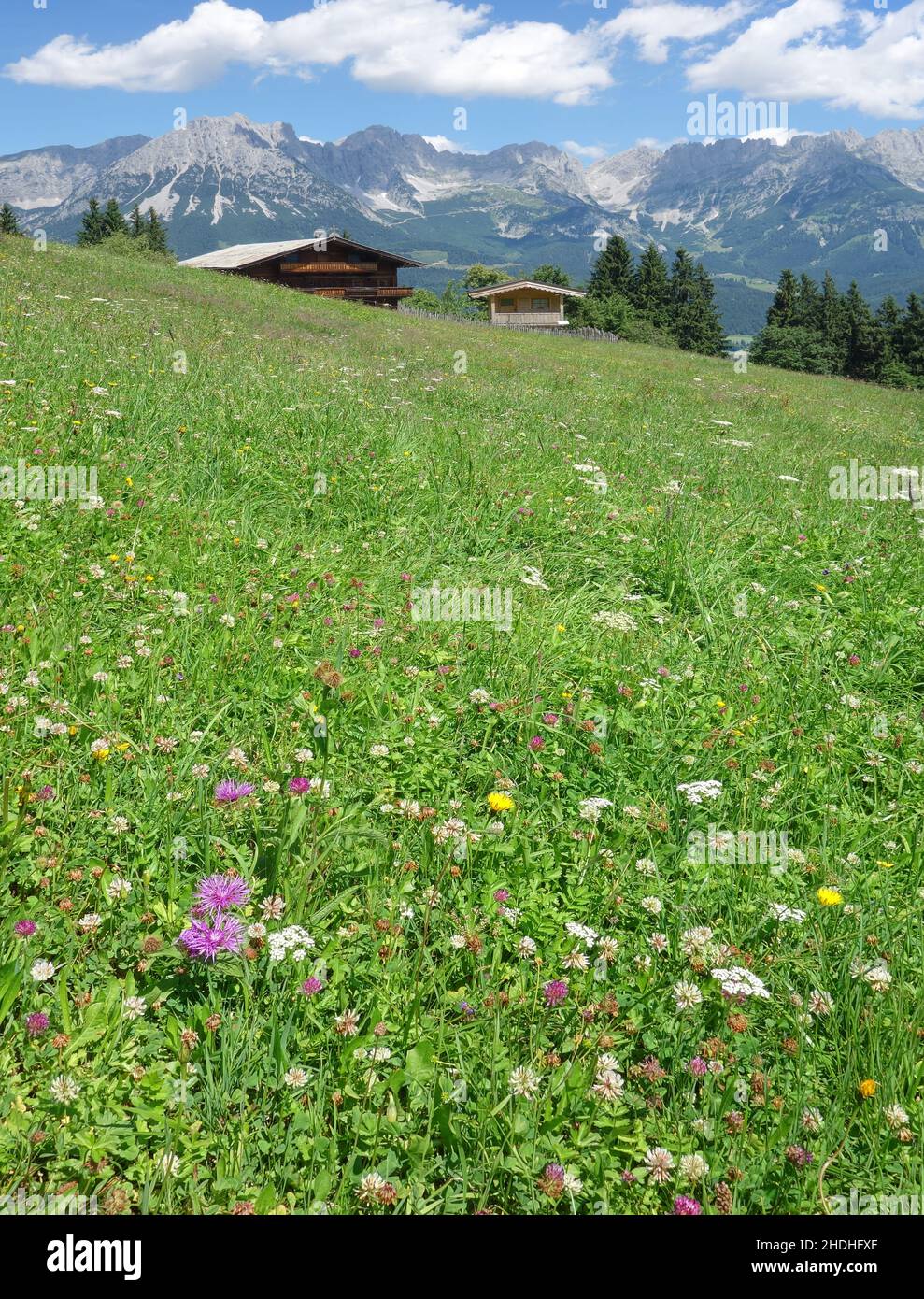 tirol, alp, pradera de montaña, tirols, alpes, prados de montaña Foto de stock