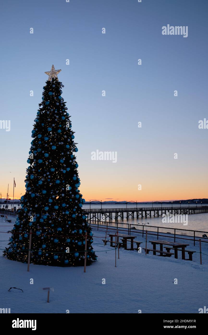 El amanecer comienza a iluminar los cielos del este. El hermoso árbol de Navidad de White Rock está adornado con decoraciones azules, luces blancas y estrellas Foto de stock