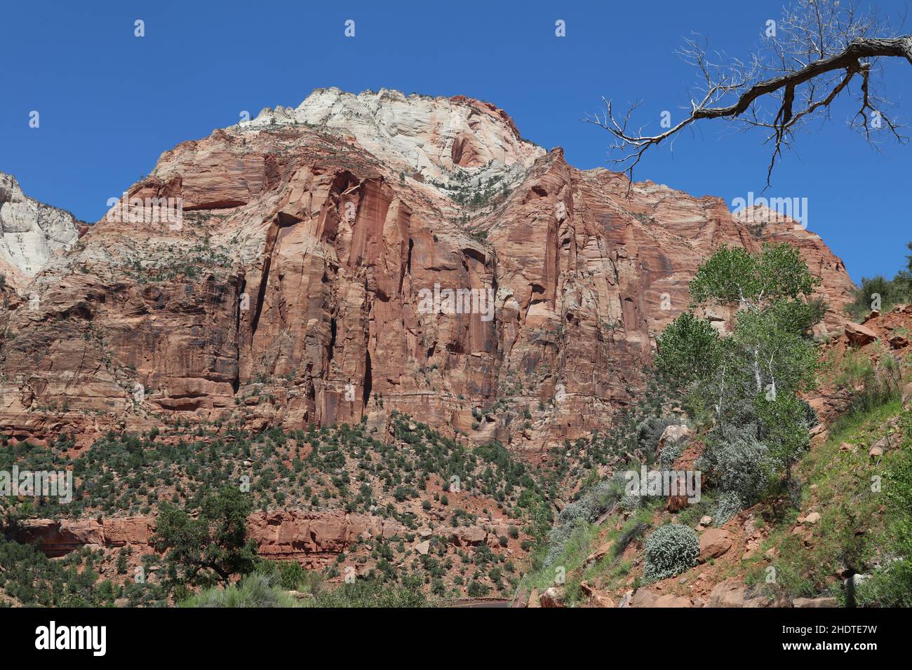 formación de rocas, cañón rojo, bosque nacional de dixie, formaciones rocosas Foto de stock