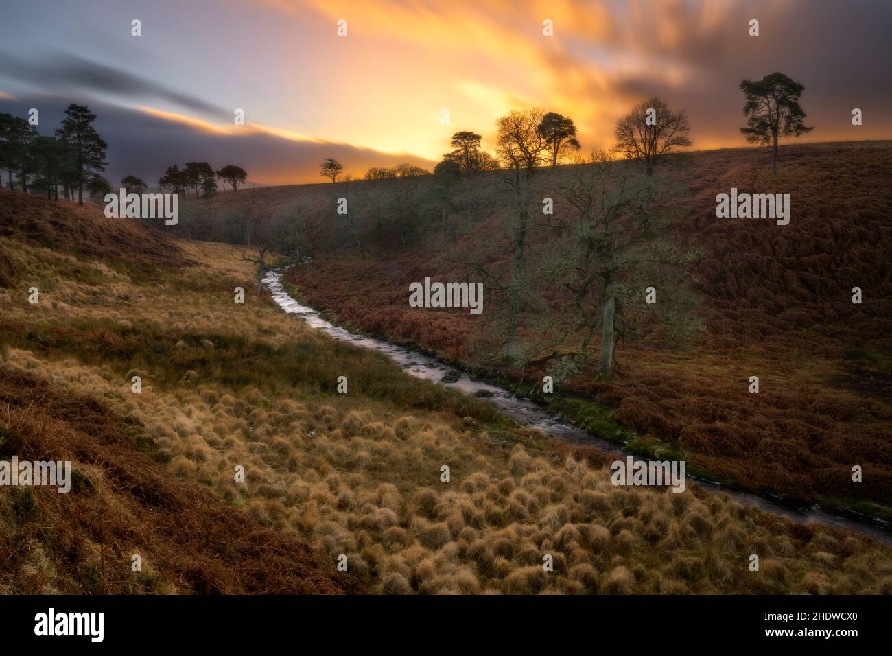 Paisaje con río en las montañas, Irlanda Foto de stock