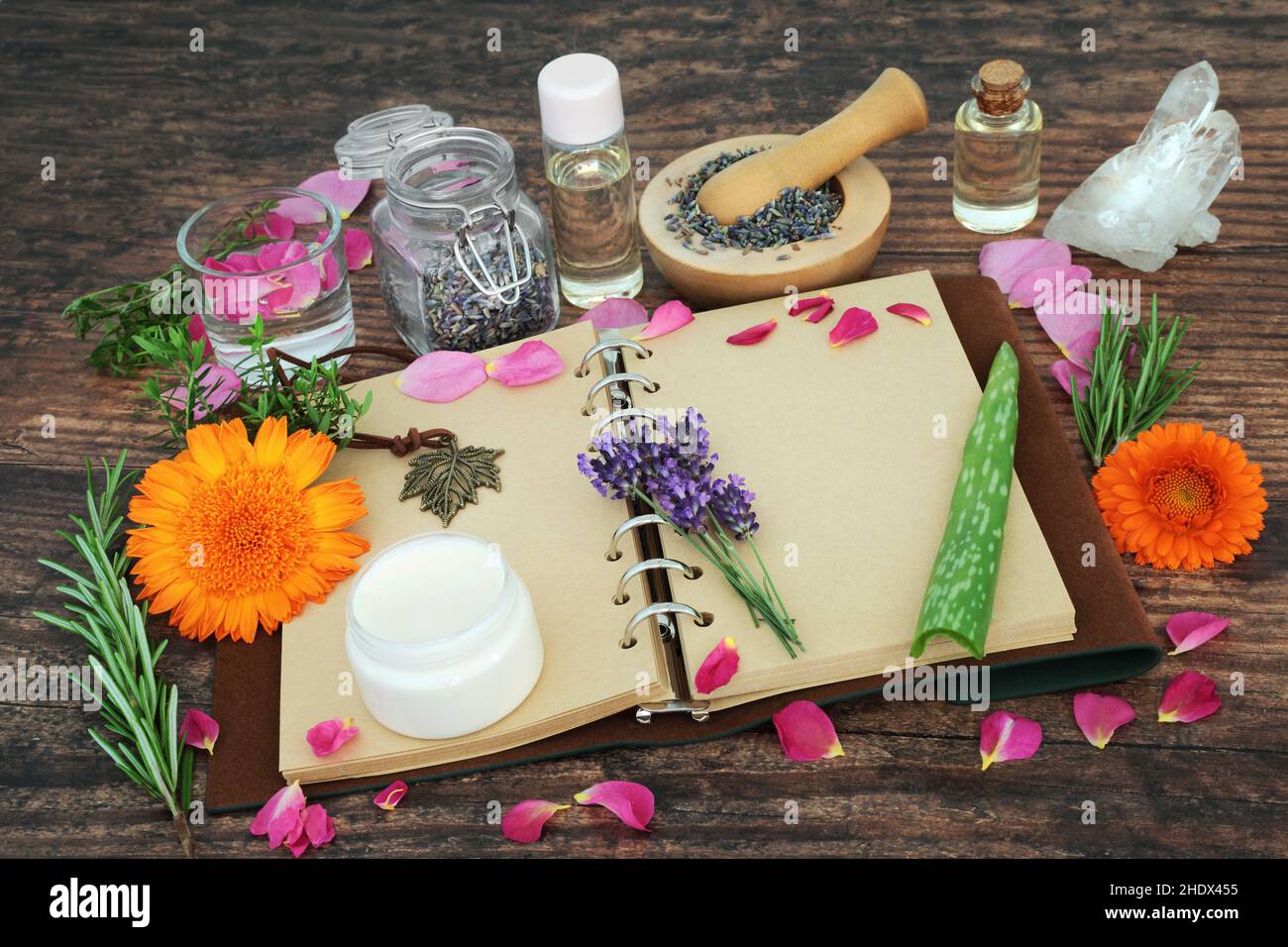 Preparar la medicina herbaria para los remedios naturales del cuidado de la piel con las hierbas, las flores y el cuaderno para las recetas, las notas. Foto de stock