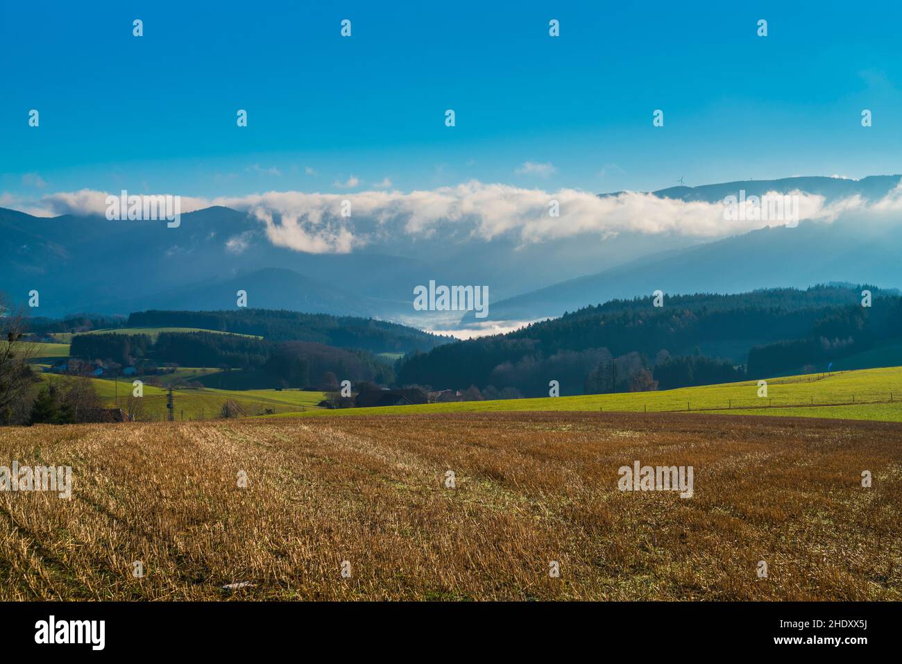Alemania, Selva negra panorama naturaleza paisaje de nubes niebla en el valle en el día soleado en la región turística perfecto para el senderismo Foto de stock