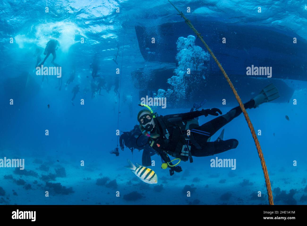 Un buceador nadará por debajo de un barco con otros buceadores todavía en la superficie en el Mar Rojo, Egipto. Foto de stock