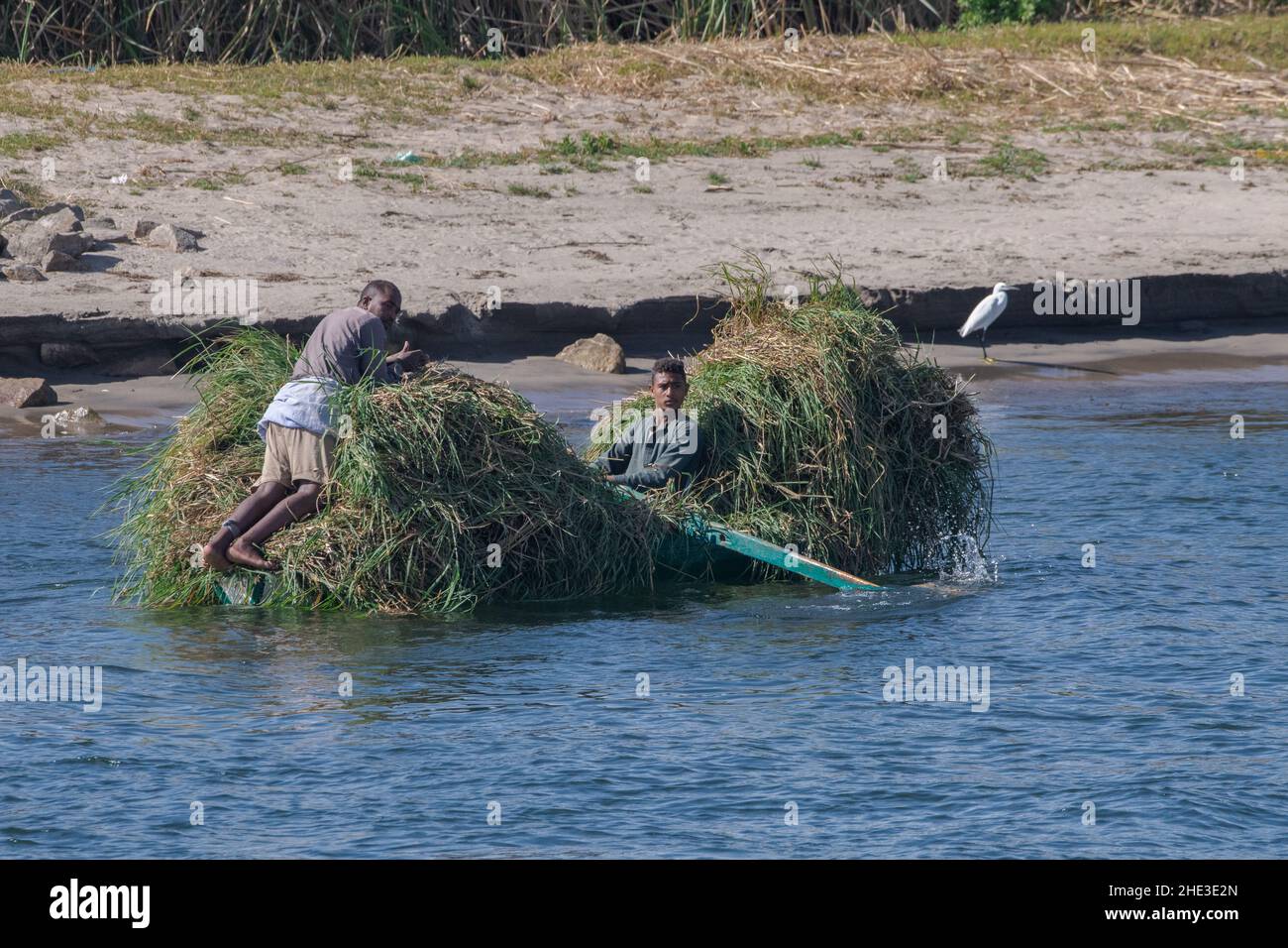 Aldeanos egipcios con un pequeño barco de madera lleno de una cosecha de caña o hierba en el río Nilo en Egipto. Foto de stock