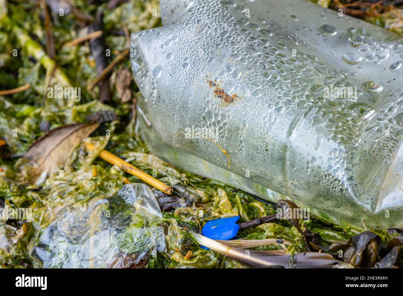 Crisis de contaminación del plástico, daños ambientales en la reserva natural del Reino Unido Foto de stock