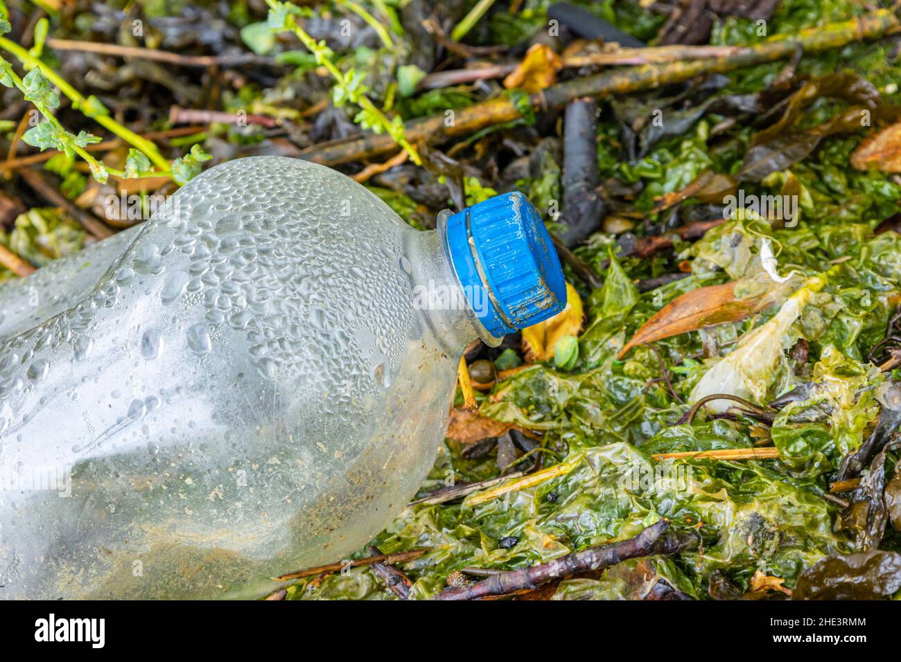 Crisis de contaminación del plástico, daños ambientales en la reserva natural del Reino Unido Foto de stock
