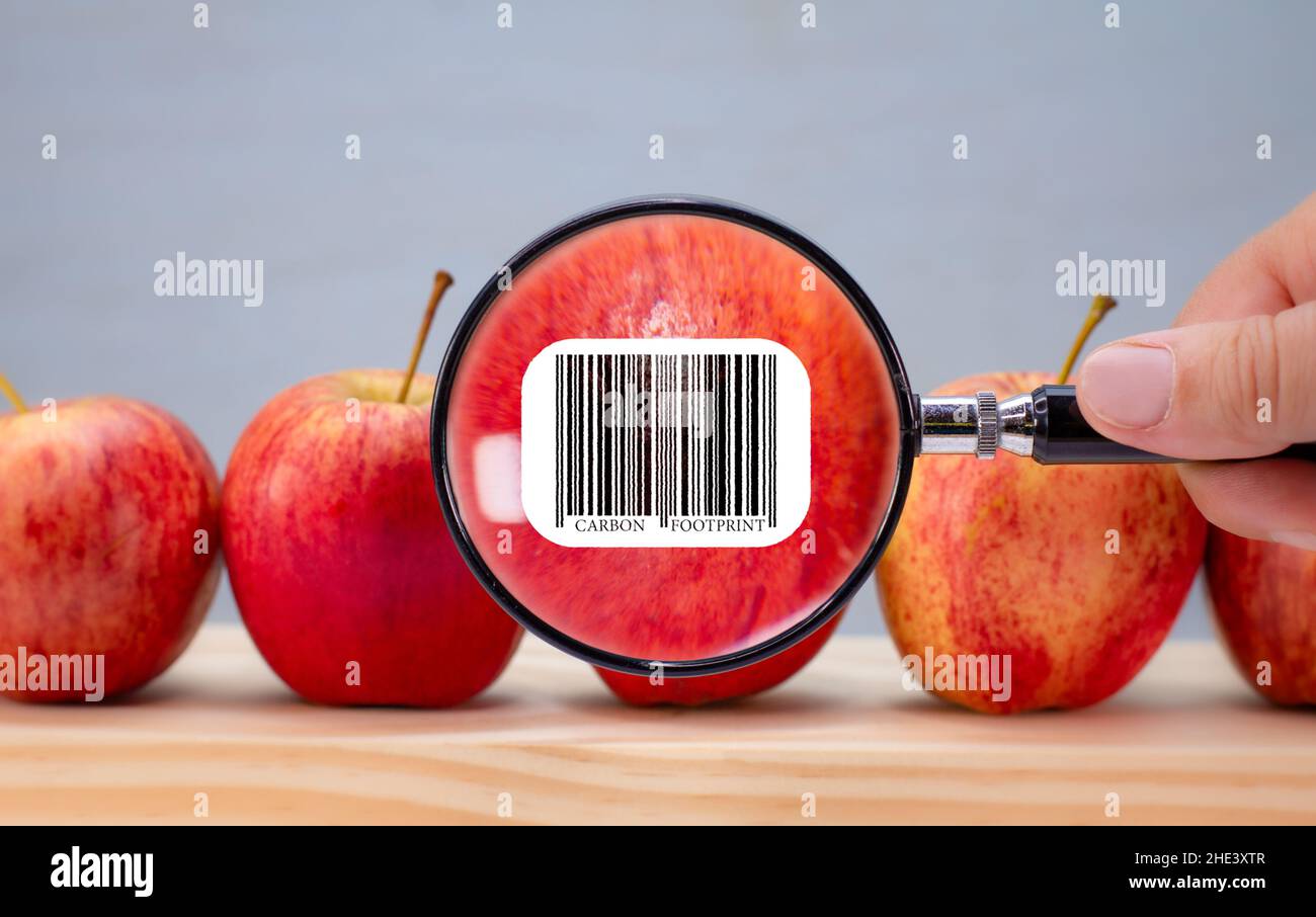 Etiqueta de código de barras de huella de carbono en manzana ampliada por lente de aumento, impacto medioambiental de la etiqueta de sostenibilidad del cliente de alimentos en los alimentos Foto de stock