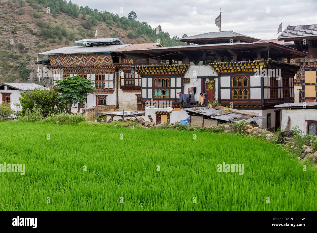 Casa de pueblo con arroz paddy, Punakha, Bután Foto de stock