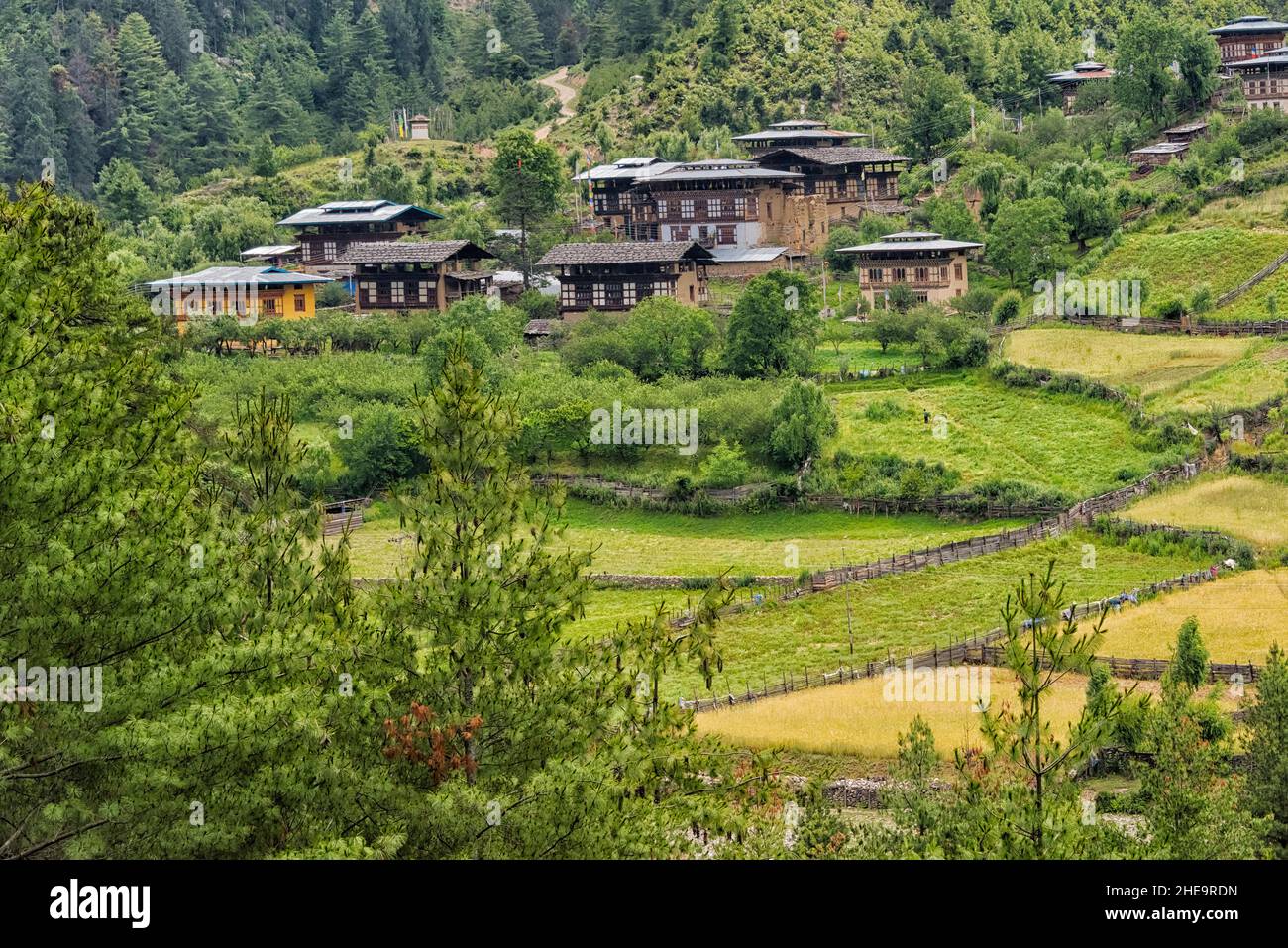 Casa de pueblo y tierras de labranza en el Himalaya, Thimphu, Bután Foto de stock