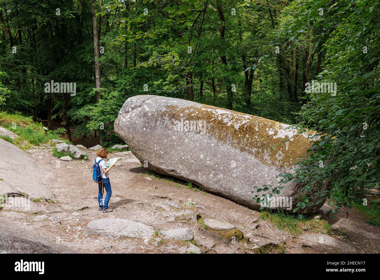 Tremblante fotografías e imágenes de alta resolución Alamy