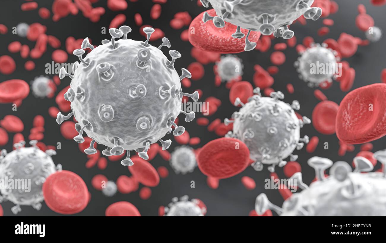 COVID19 El virus de la corona con glicoproteína en espículas flotan en el torrente sanguíneo con glóbulos rojos en el sistema vascular . 3D Representación . Foto de stock