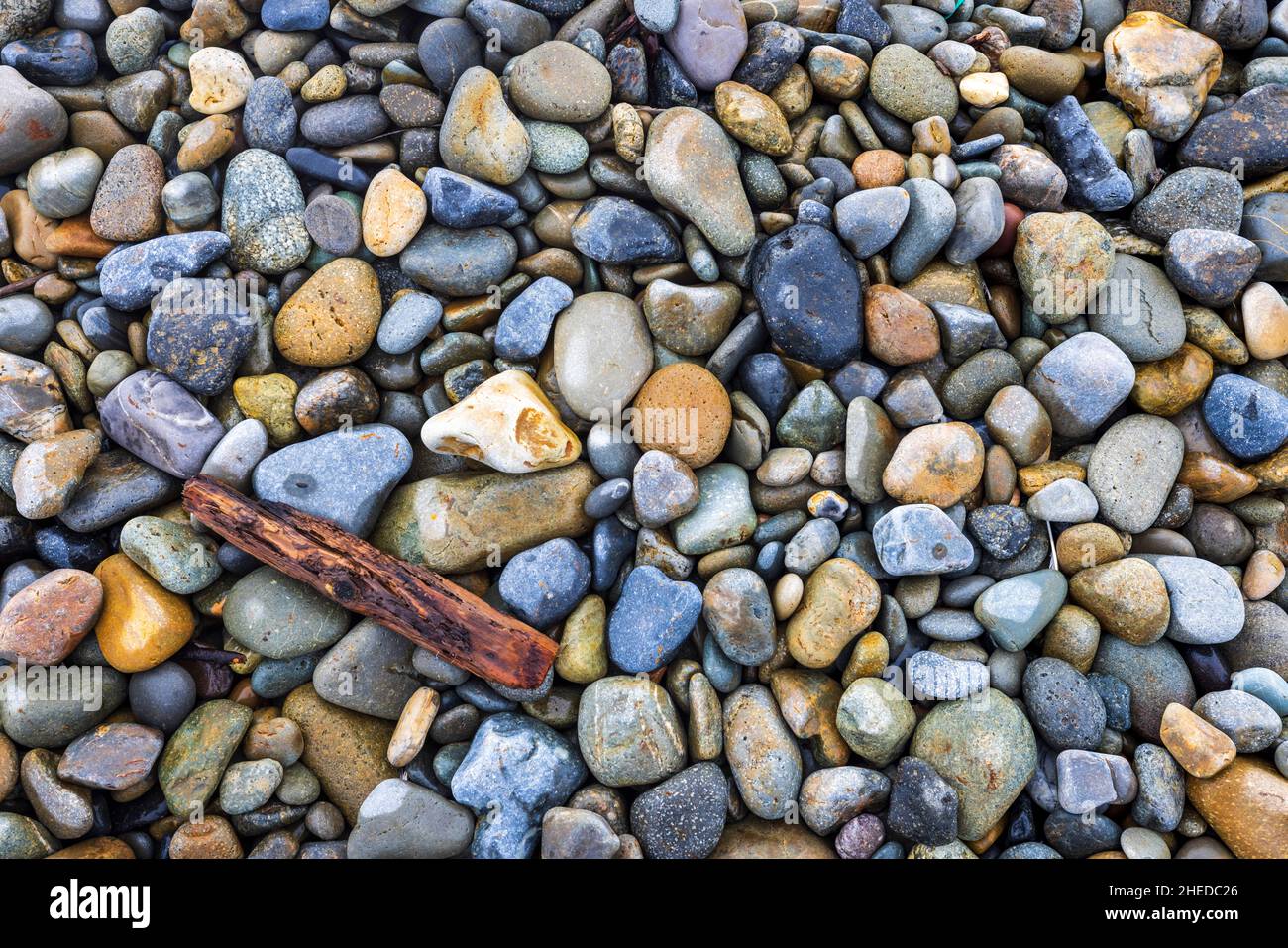 Playa de guijarros y madera a la deriva en Newgale Sands, Parque Nacional de la Costa de Pembrokeshire, Gales del Sur Foto de stock