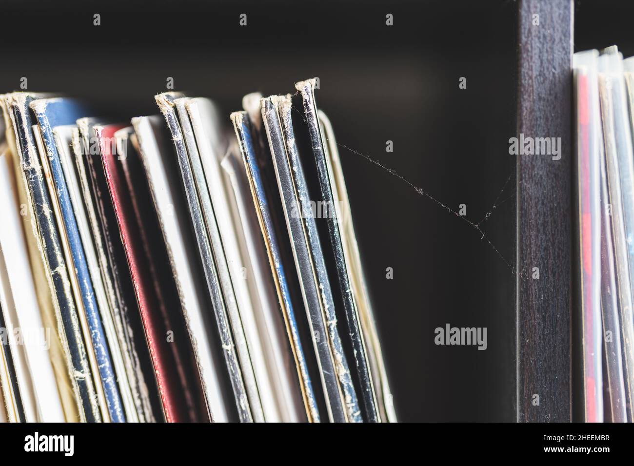 Estante de madera lleno de discos de vinilo. Colección vintage con una telaraña en ella. Foto de stock