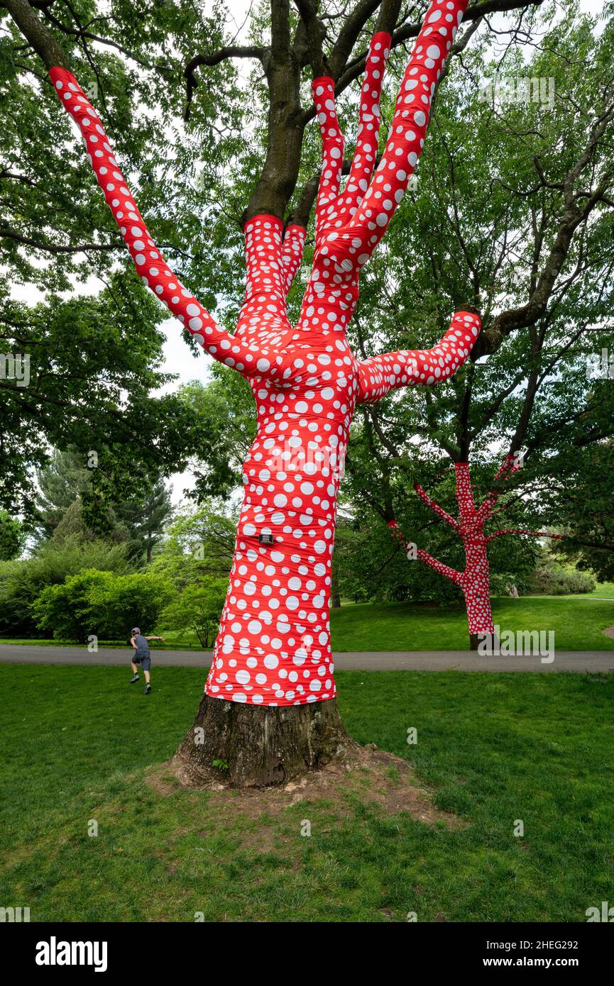 Nueva York, NY, EE.UU. 23 de mayo de 2021. 'Ascension of Polka Dots on Trees', parte de la exposición “Cosmic Nature' del artista Yayoi Kusama en el Jardín Botánico de NY Foto de stock