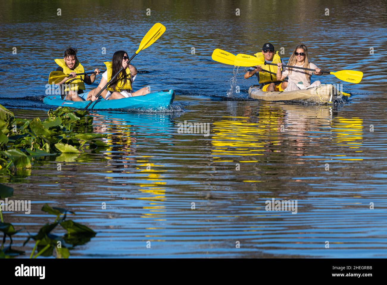 Parejas remando kayaks en el río Wekiwa en el Parque Estatal Wekiwa Springs en Apopka, Florida, cerca de Orlando. (EE. UU.) Foto de stock