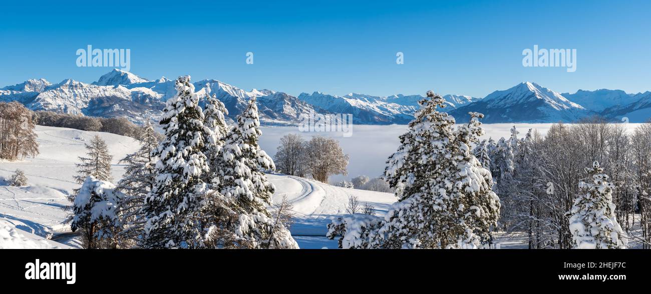 Vista invernal del valle de Champsaur con picos montañosos del Parque Nacional Ecrins en la distancia. Hautes-Alpes (Col de Gleize, Alpes franceses). Francia Foto de stock