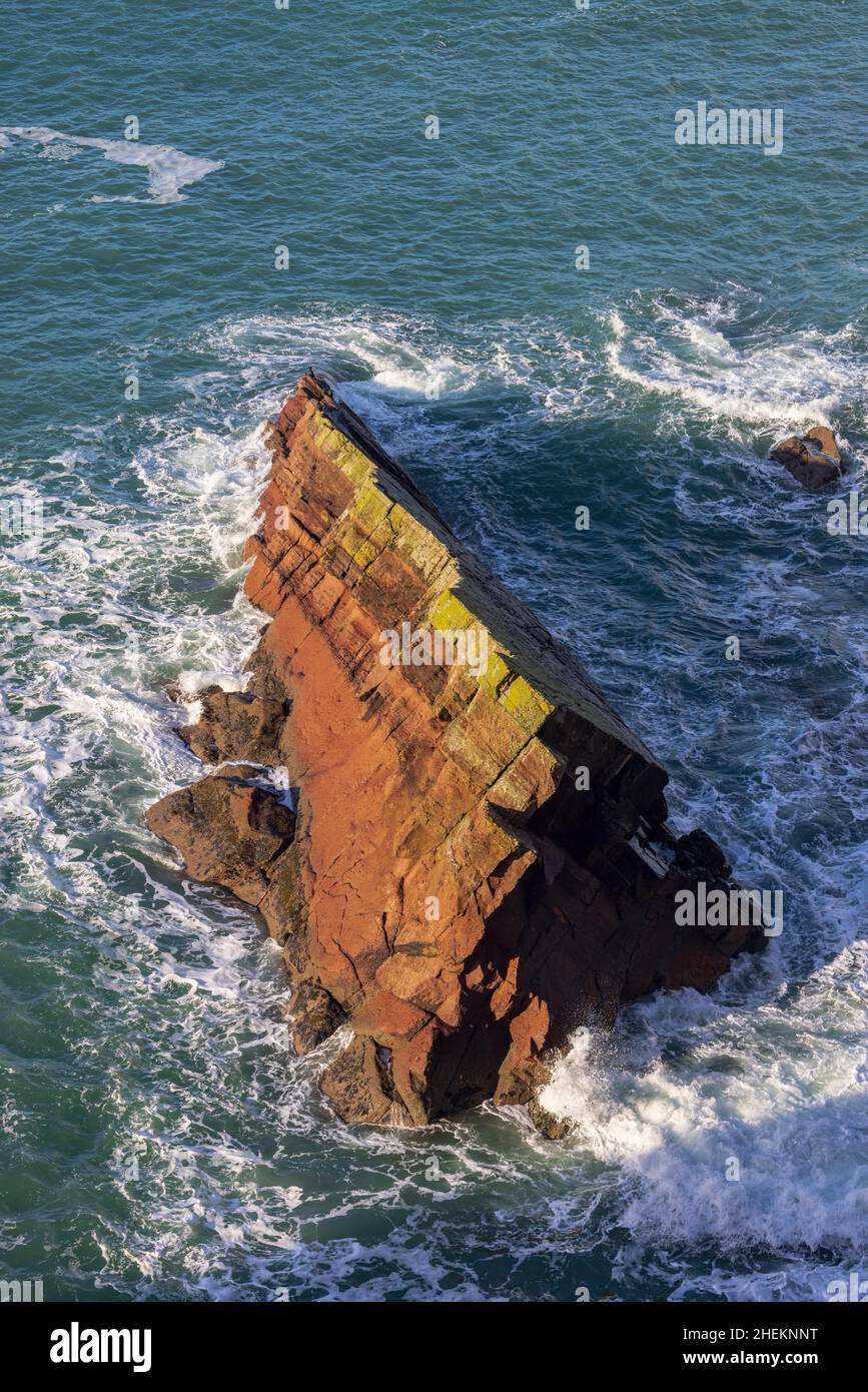 Las capas sedimentarias de piedra arenisca de los acantilados a lo largo de la ruta costera de Pembrokeshire en la bahía de St Brides, Gales del Sur Foto de stock