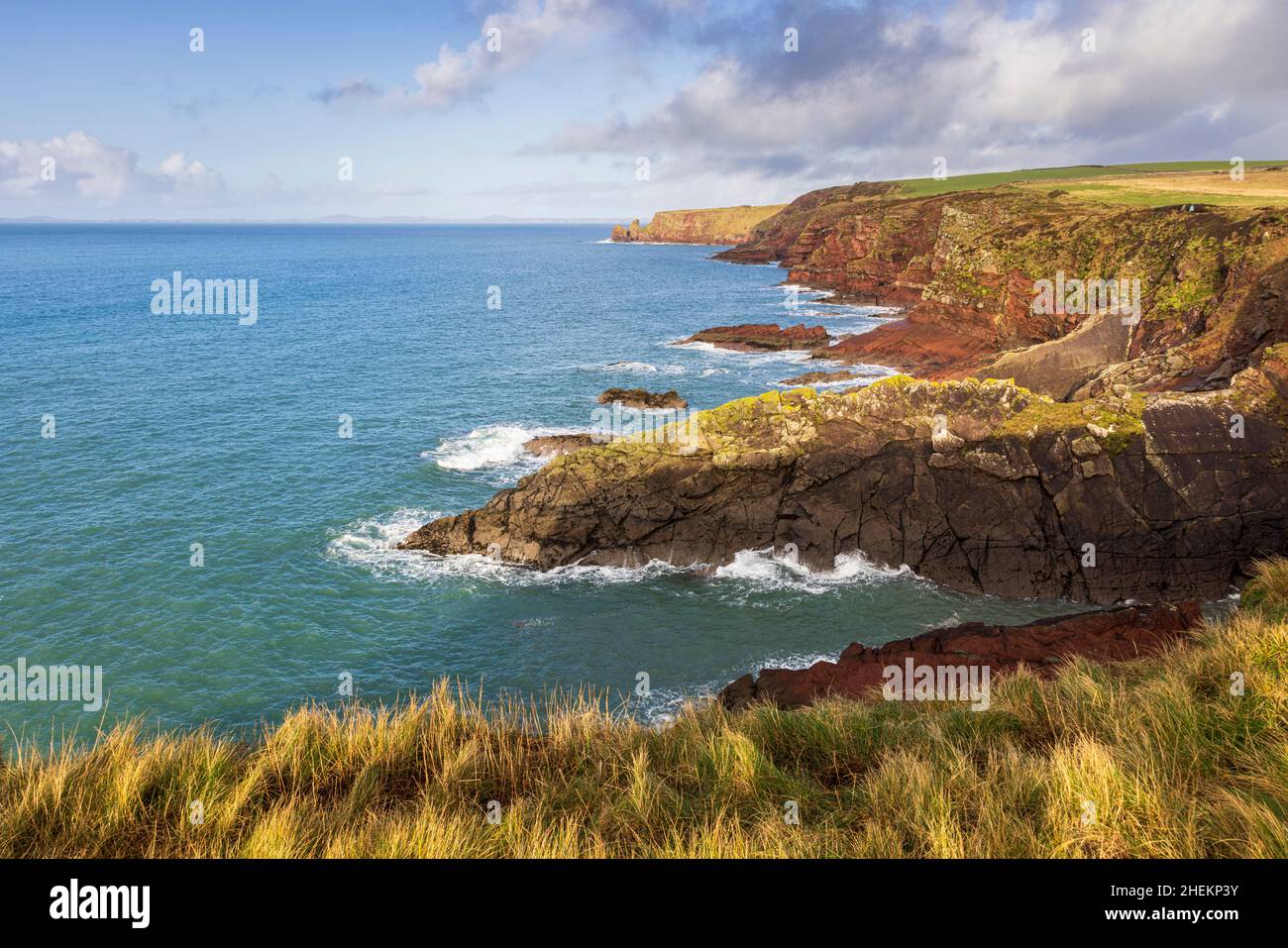 Los acantilados de arenisca de la bahía de St Brides en el Parque Nacional de la Costa de Pembrokeshire, Gales del Sur Foto de stock