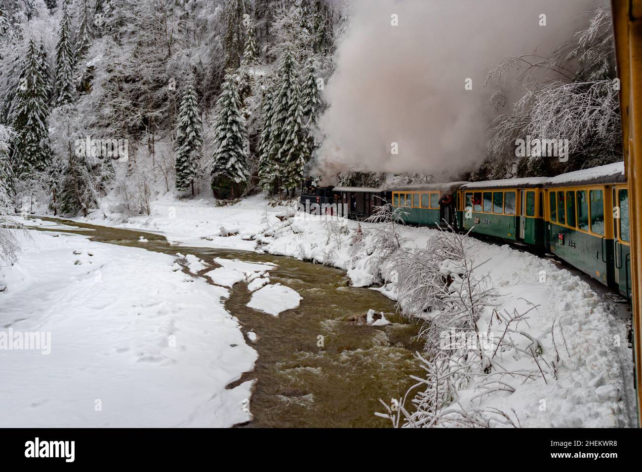 Foto de una locomotora de vapor de calibre estrecho, que cocer al vapor a través del paisaje invernal. La foto se tomó desde el tren mientras se estaba moviendo. Fotografía de un touristi Foto de stock