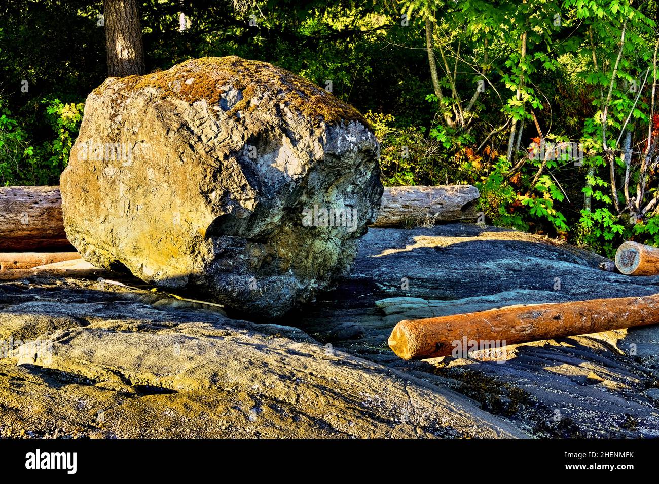 Una gran roca en la costa a lo largo de la isla de Vancouver en British Columbia Canadá. Foto de stock