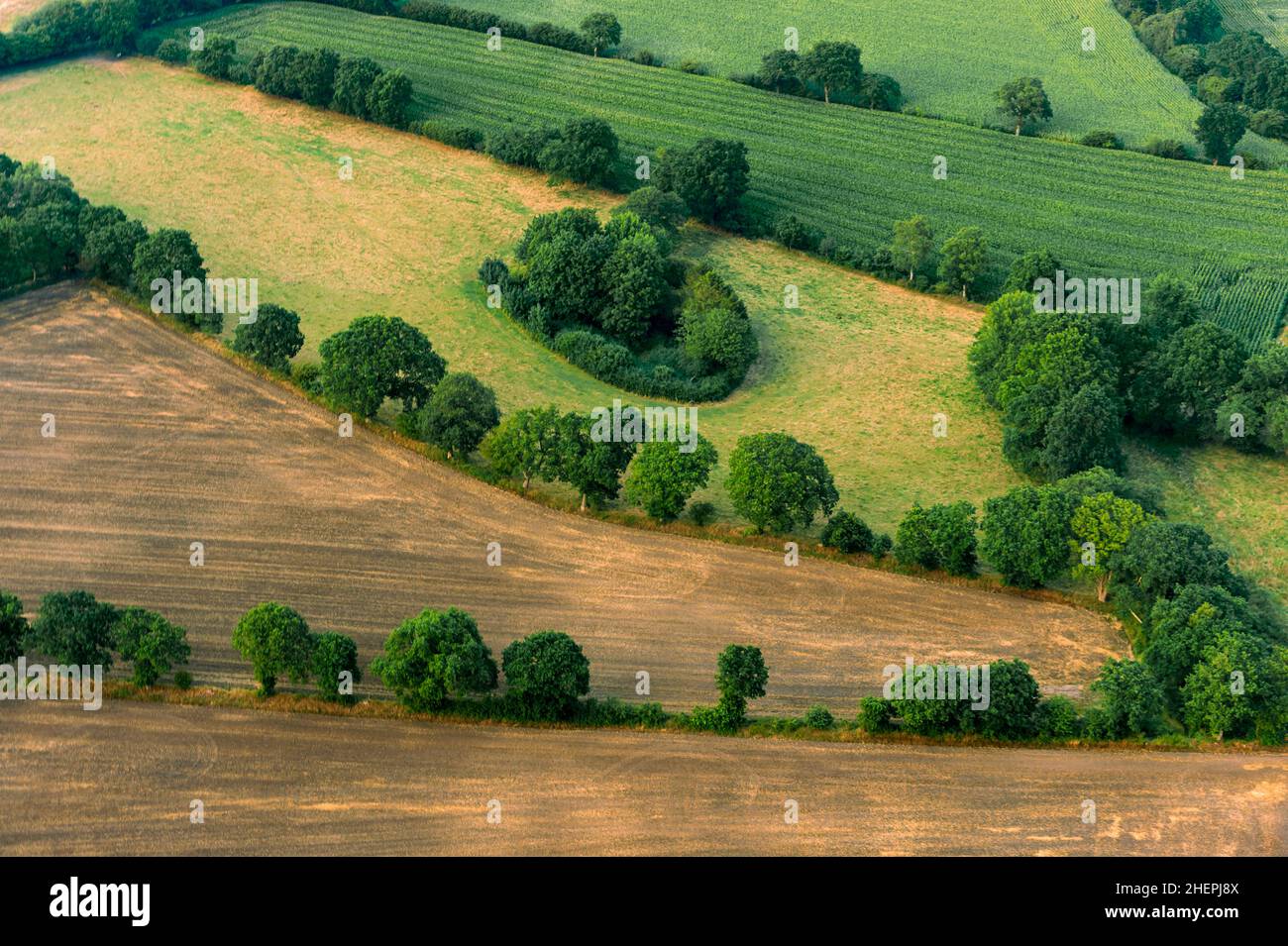 Bancos de cobertura y campos en verano, vista aérea, Alemania, Schleswig-Holstein Foto de stock