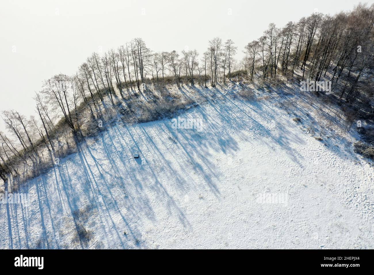 Paisaje cultural cubierto de nieve con pastos y setos, foto de drone, Alemania, Schleswig-Holstein Foto de stock