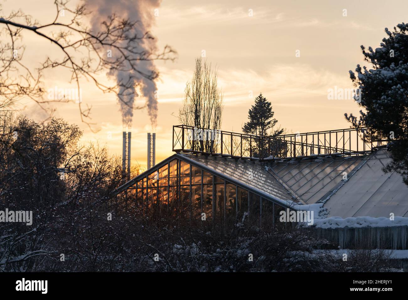 Edificio de invernadero en el jardín de invierno contra chimeneas de fumar de la planta de calderas al atardecer Foto de stock