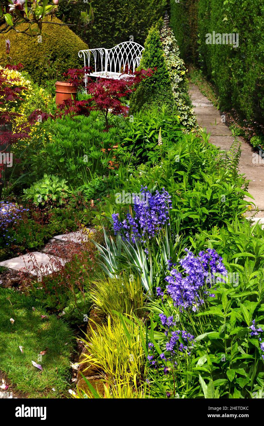 Primavera en un jardín de campo inglés con bluebells Foto de stock
