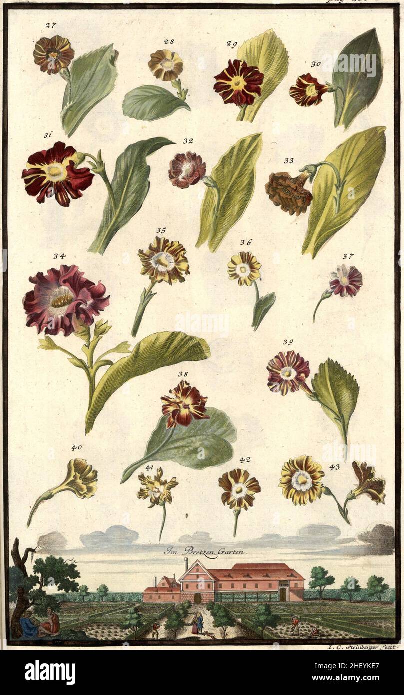 Garten der hesperiden fotografías e imágenes de alta resolución Alamy