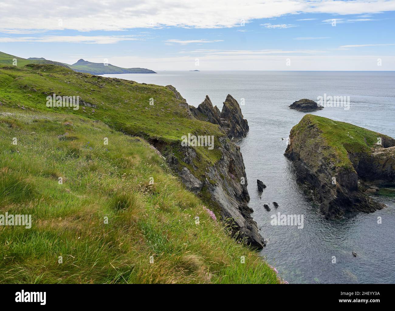 Acantilados costeros de lechos de pizarra casi verticales en la costa de Pembrokeshire cerca de Abereiddi mirando hacia la cabeza de San David - Gales del Sur, Reino Unido Foto de stock