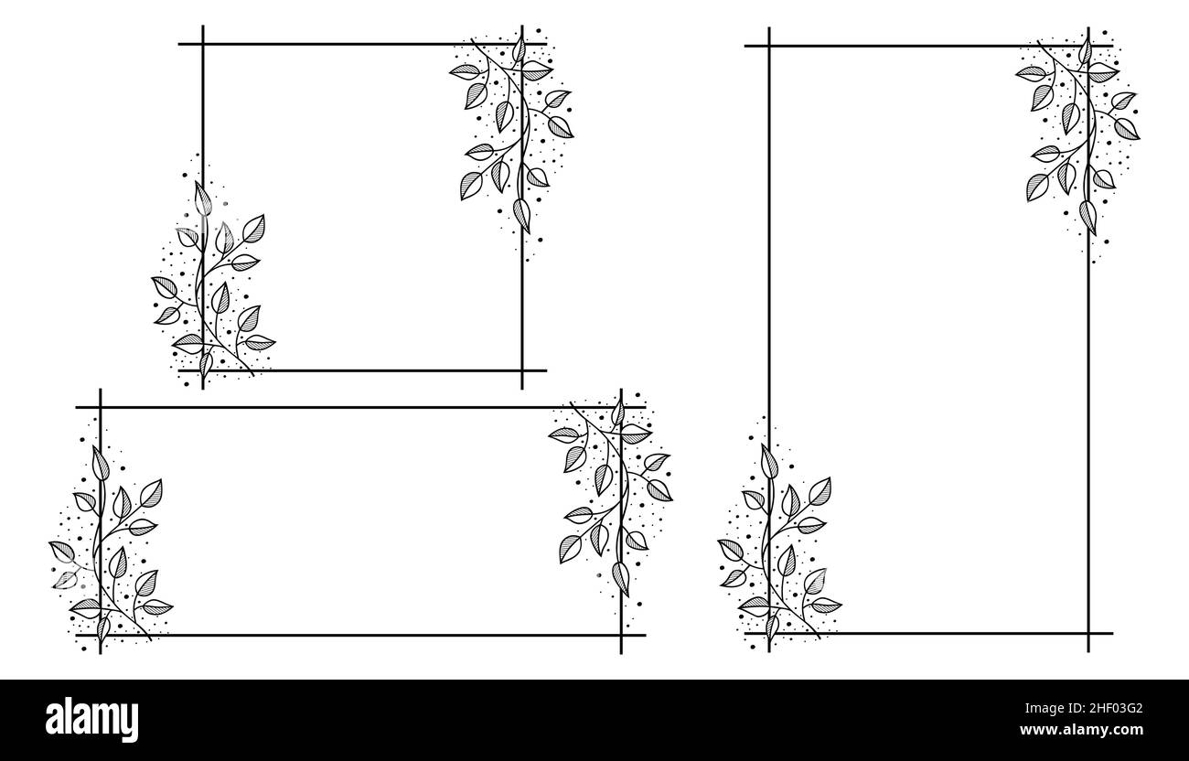 Borde de la hoja de decoracion Imágenes de stock en blanco y negro - Alamy