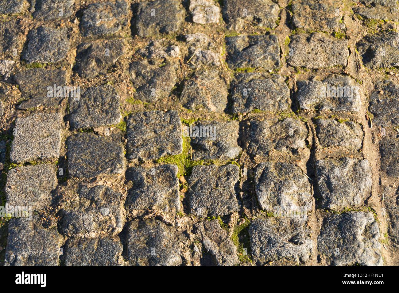 Primer plano de piedras de pavimentación desgastadas cubiertas de musgo Foto de stock
