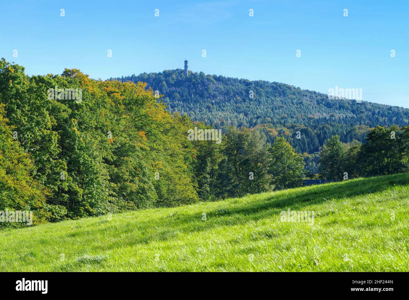 Zittau Montañas, la montaña Hochwald en otoño Foto de stock