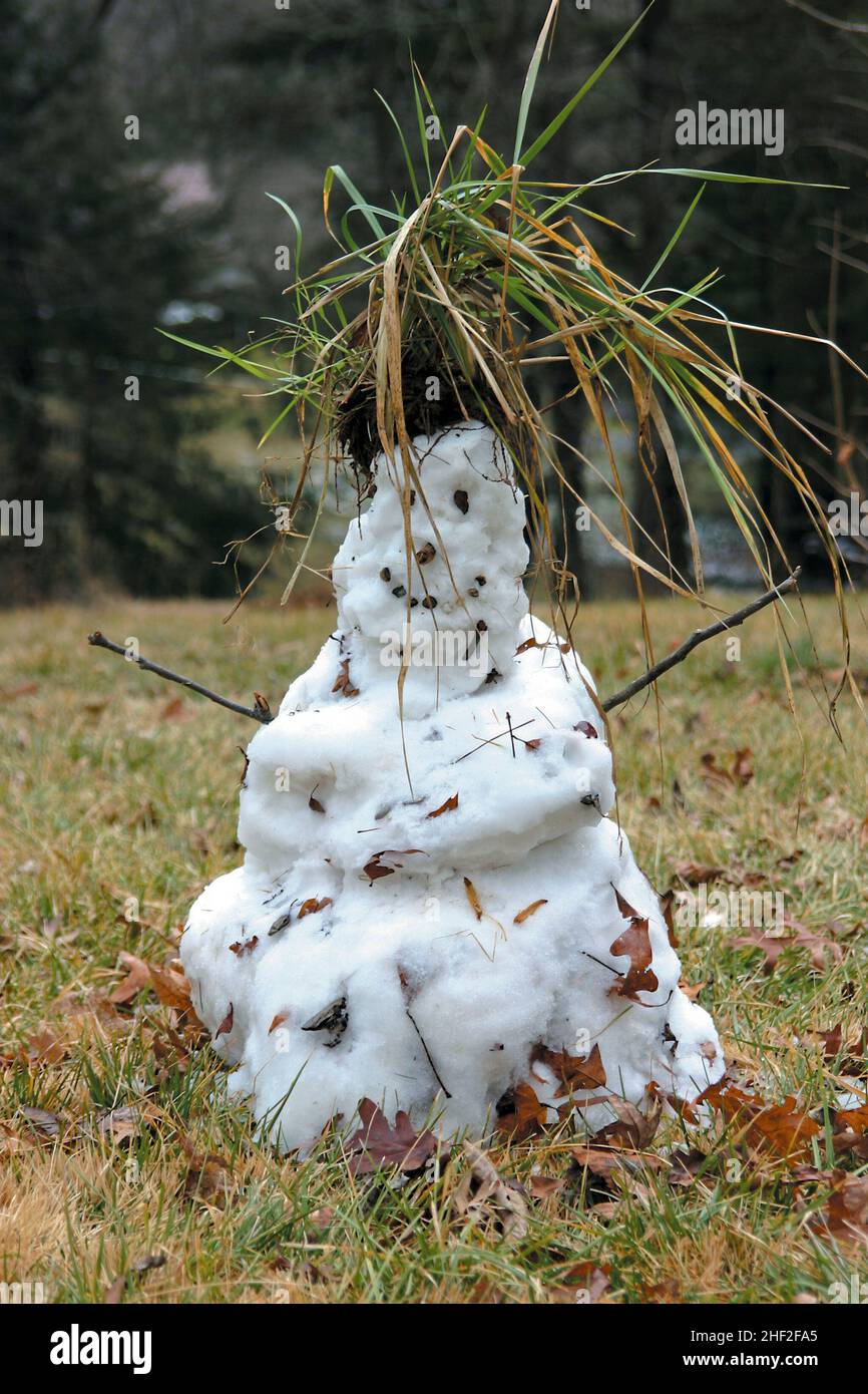 Una persona feliz de la nieve con una cabeza coronada por un grupo de largo se sienta derretirse solo en un campo, un remanente solitario de una tormenta de nieve tardía Foto de stock