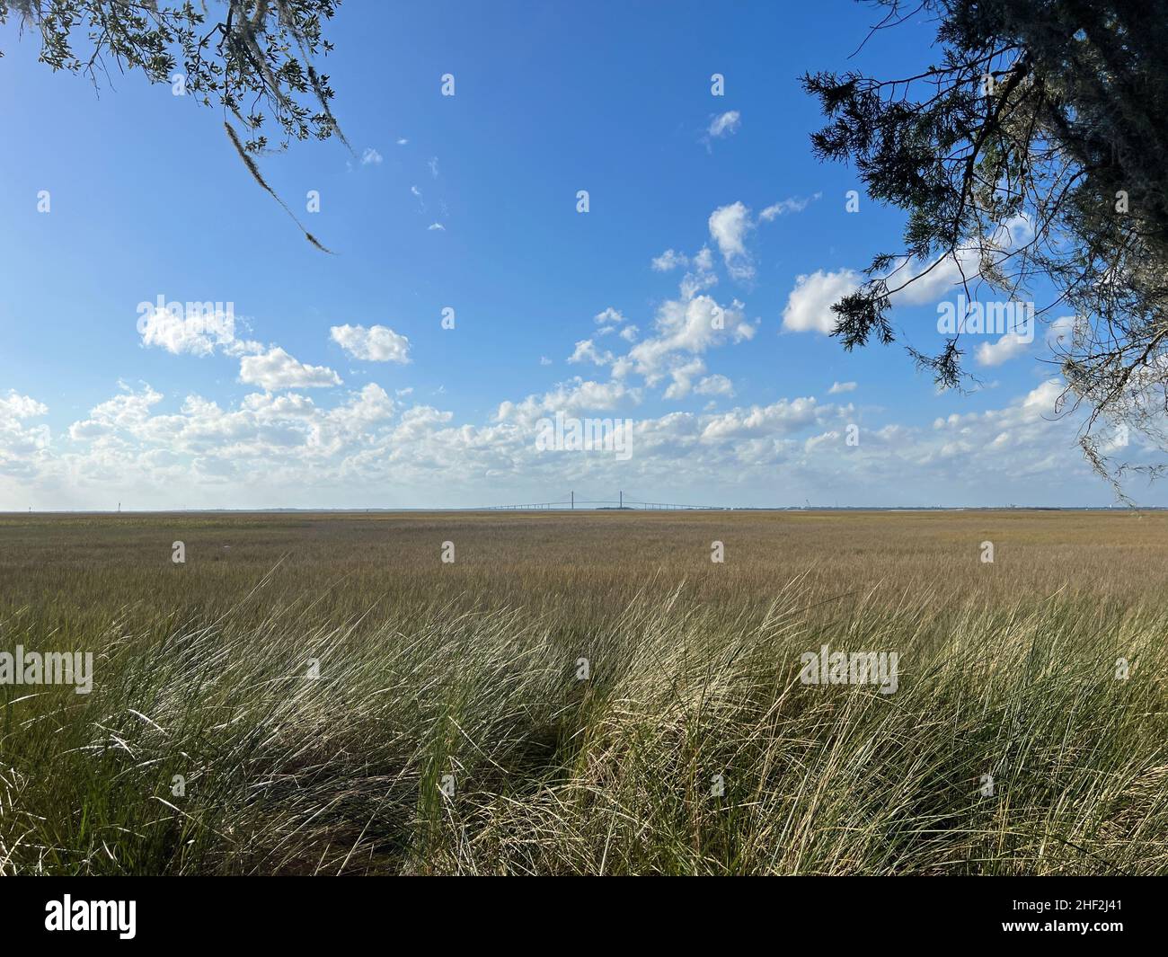 Una vista de la marisma desde el sitio Horton House en la isla Jekyll, Georgia, un tranquilo destino de viaje lento en el sudeste de Estados Unidos. Foto de stock